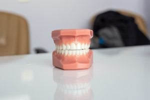 Fake Teeth and Gums